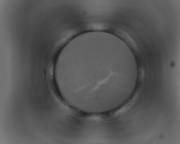X0000094210358200711241705