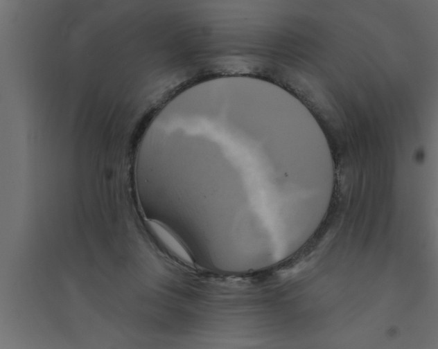 X0000094210359200711241705