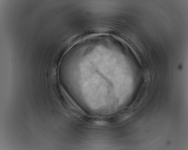 X0000094210360200711241705
