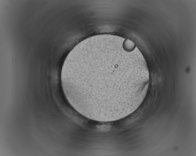 X0000094210362200711241705