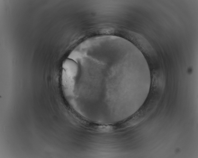 X0000094210363200711241705