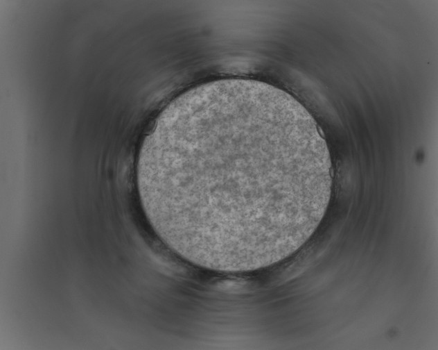 X0000094210364200711241705