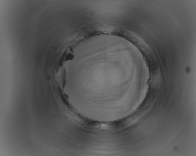 X0000094210365200711241705