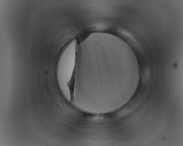 X0000094210366200711241705