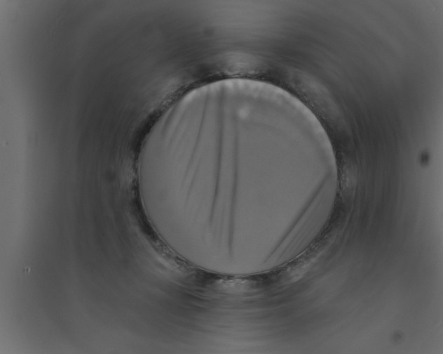 X0000094210367200711241705
