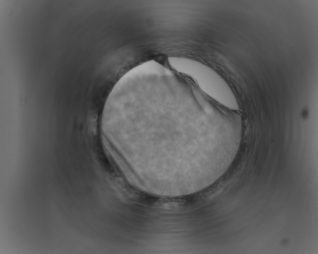 X0000094210368200711241705