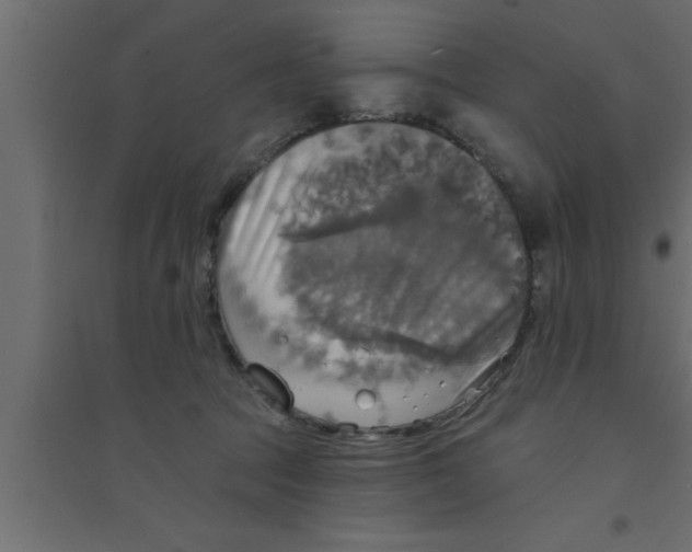 X0000094210369200711241705