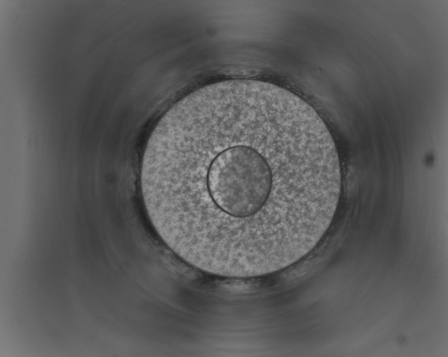 X0000094210370200711241705
