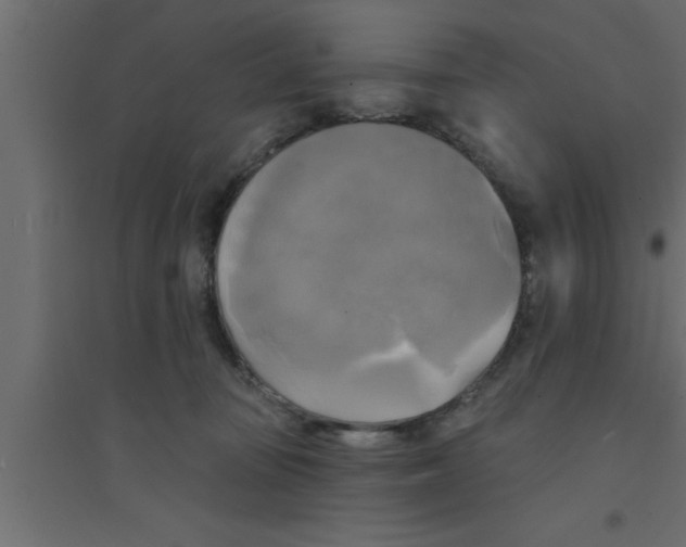 X0000094210371200711241705