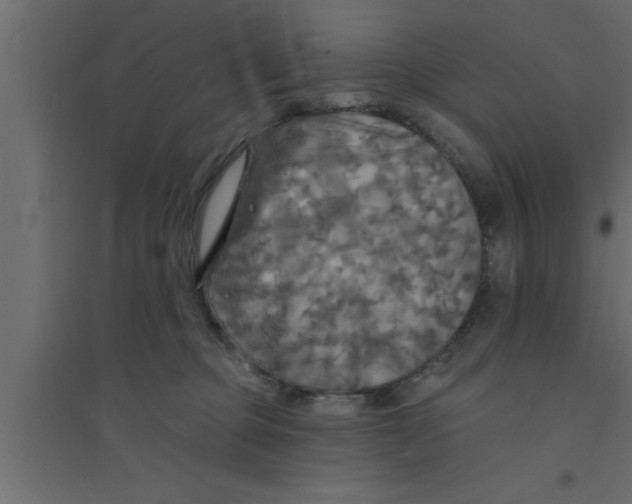 X0000094210373200711241705
