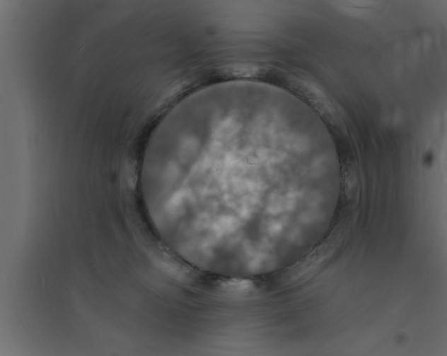 X0000094210374200711241705
