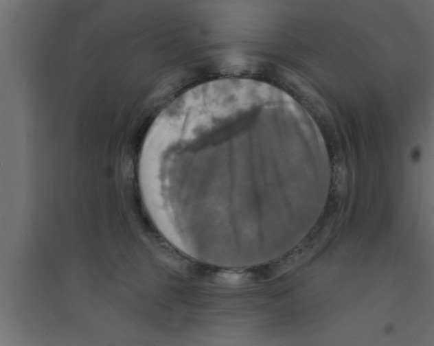 X0000094210375200711241705