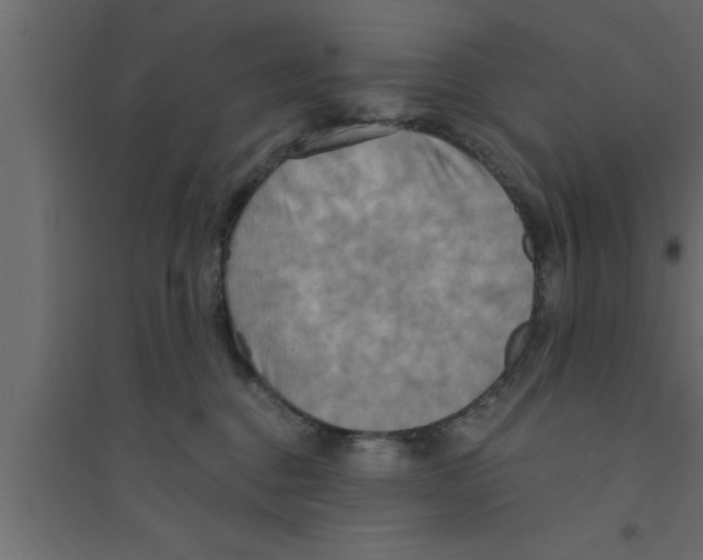 X0000094210376200711241705