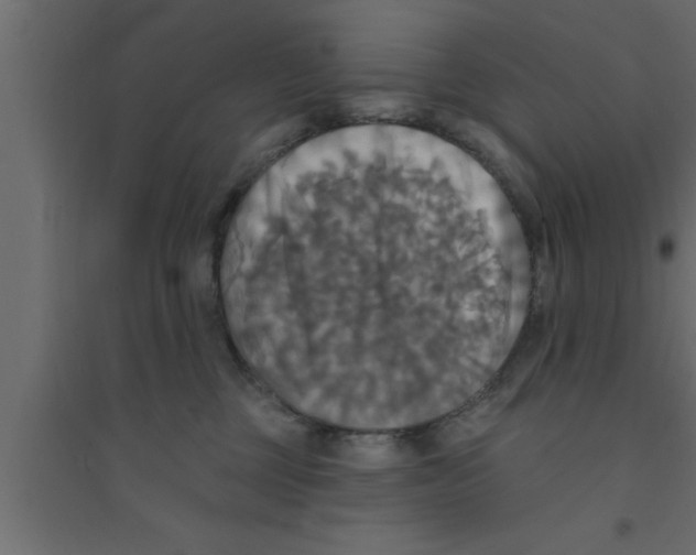 X0000094210377200711241705