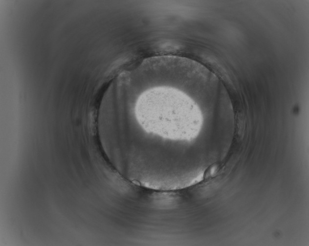 X0000094210378200711241705