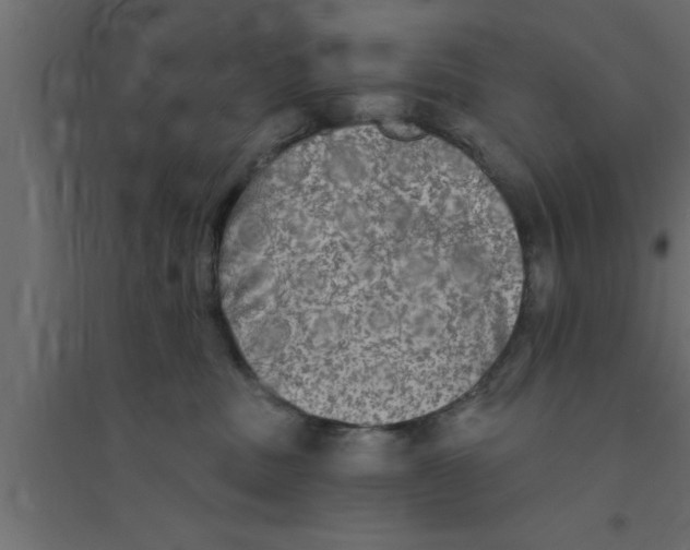 X0000094210379200711241705
