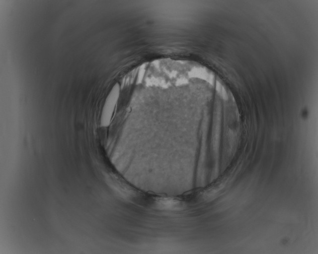 X0000094210380200711241705