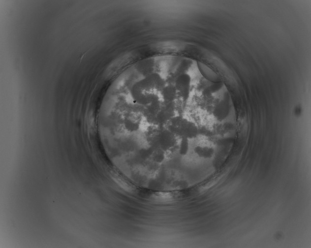 X0000094210381200711241705