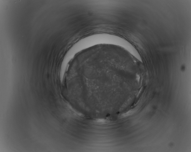 X0000094210382200711241705