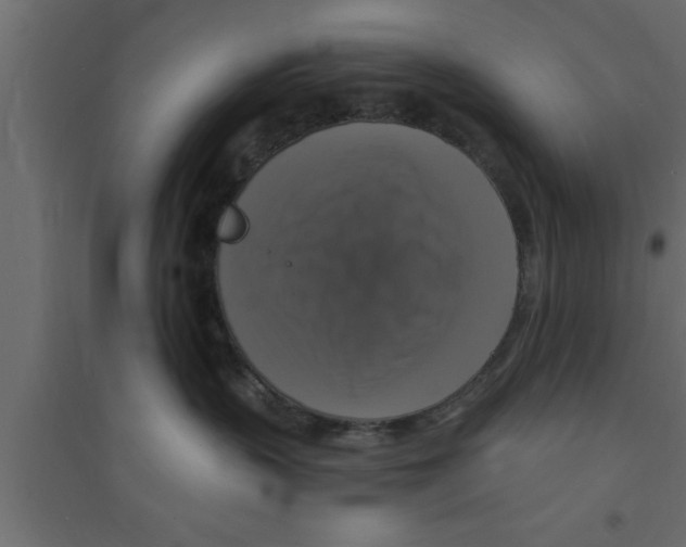 X0000094210383200711241705