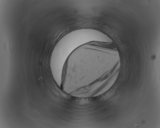 X0000094210384200711241705