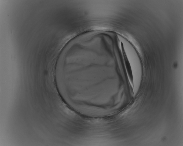 X0000094210385200711241704