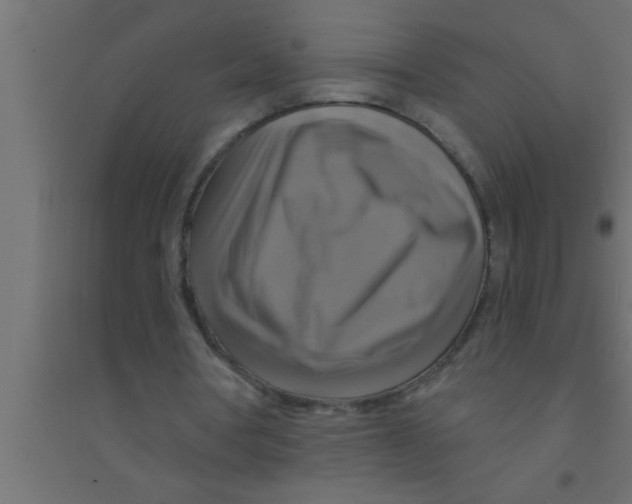 X0000094210386200711241704