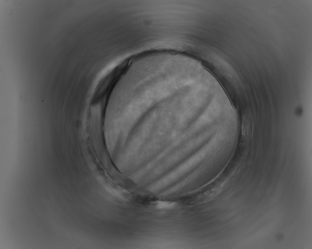 X0000094210388200711241704