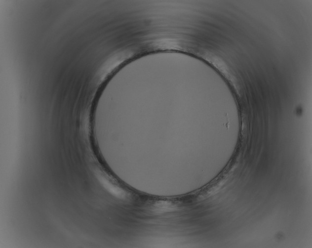 X0000094210390200711241704