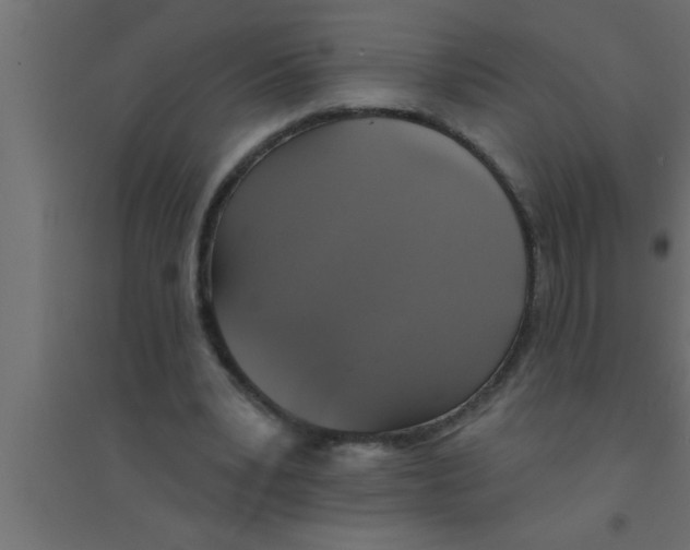 X0000094210391200711241704