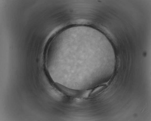 X0000094210392200711241704