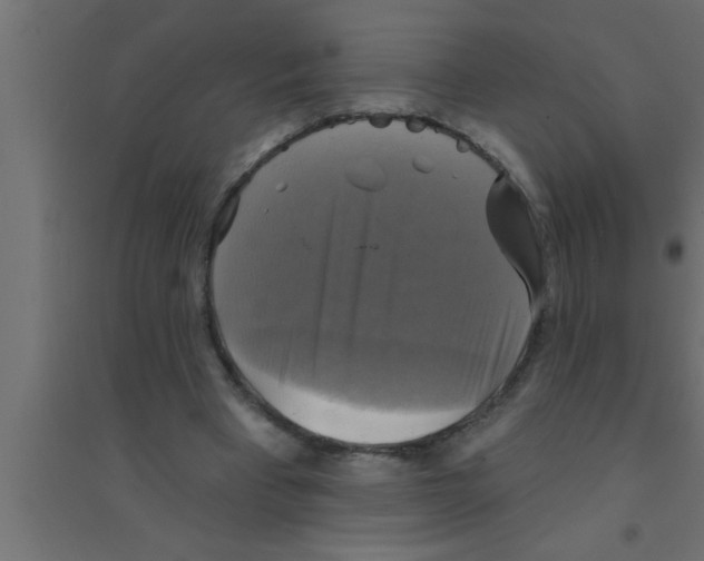 X0000094210393200711241704