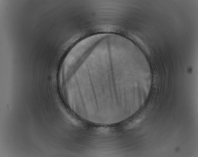 X0000094210394200711241704