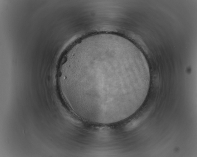 X0000094210395200711241704