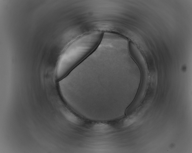 X0000094210397200711241704