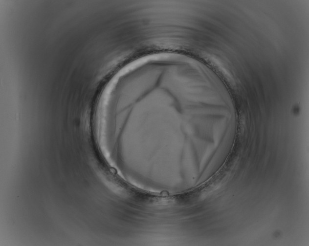 X0000094210398200711241704