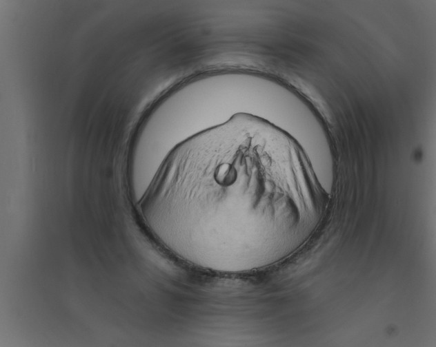 X0000094210399200711241704