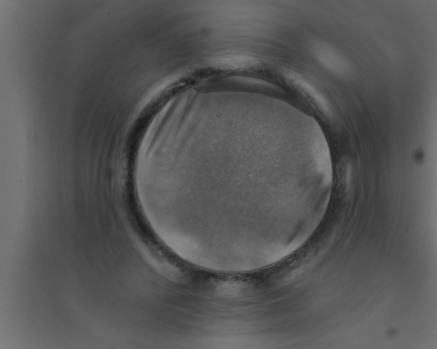X0000094210400200711241704