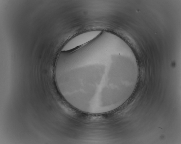 X0000094210401200711241704