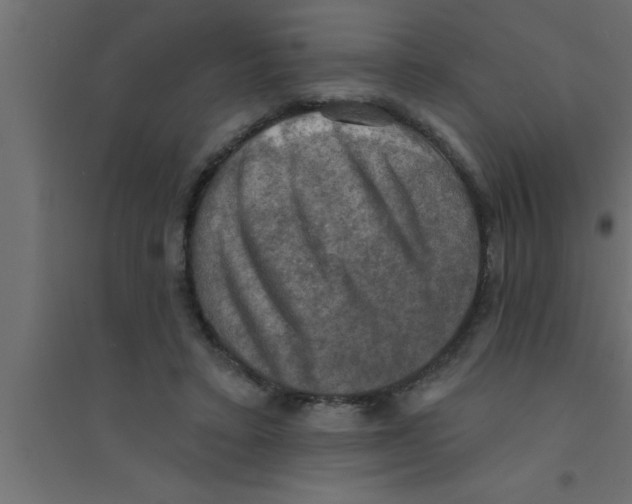 X0000094210403200711241704