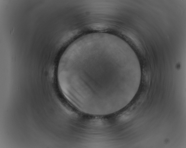 X0000094210404200711241704