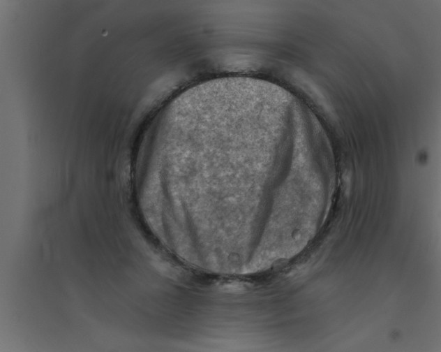 X0000094210407200711241704