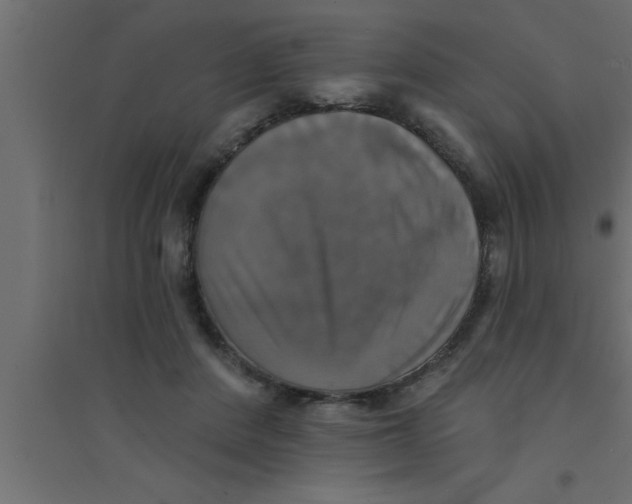 X0000094210408200711241704