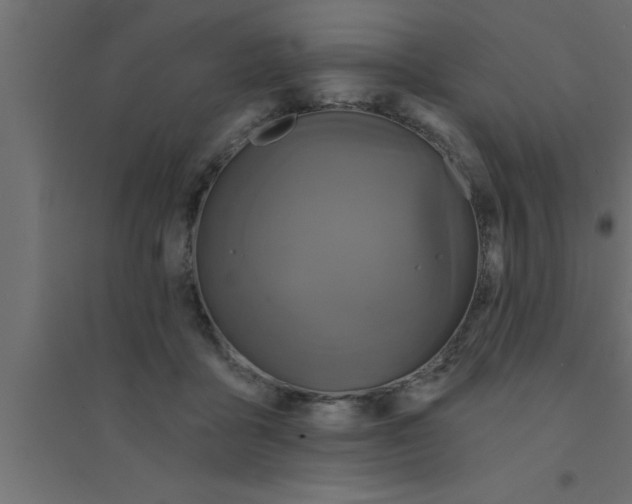 X0000094210411200711241704