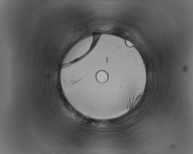 X0000094210412200711241704
