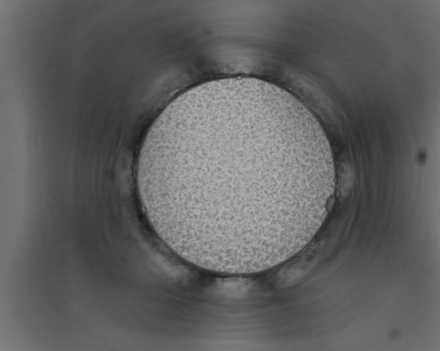 X0000094210414200711241704