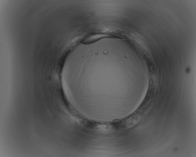 X0000094210415200711241704