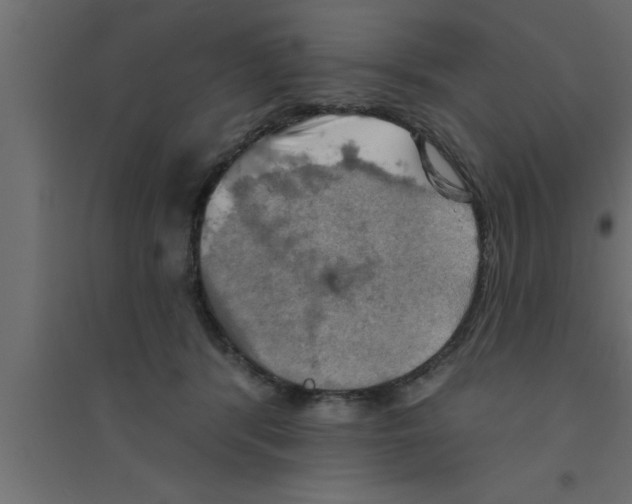 X0000094210416200711241704