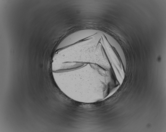 X0000094210417200711241704