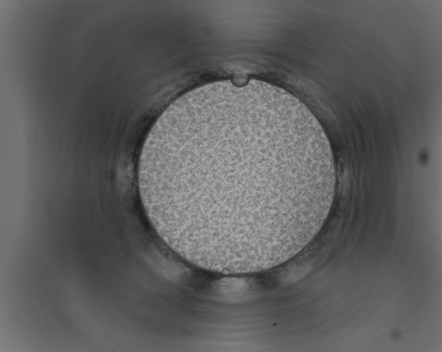 X0000094210418200711241704